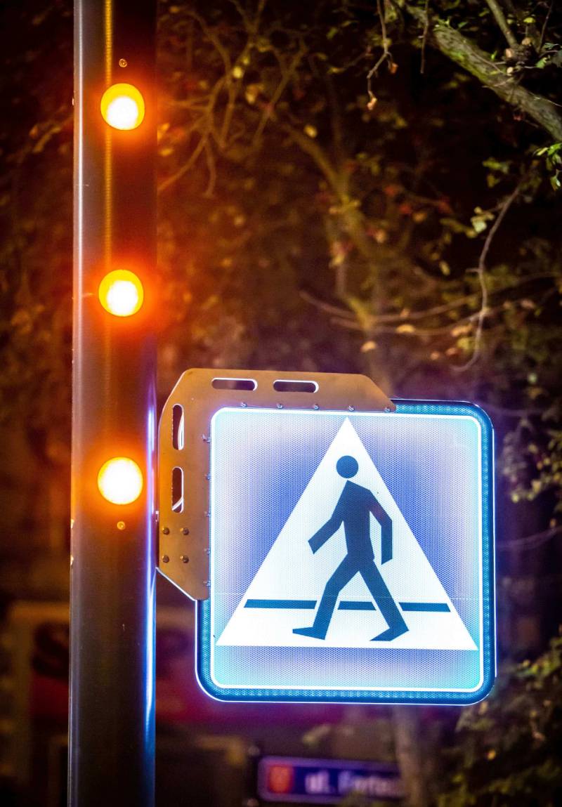 Crossing Sign Smartpole