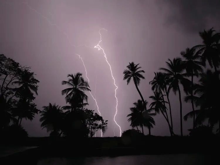 Lightning Strikes on Palm Trees